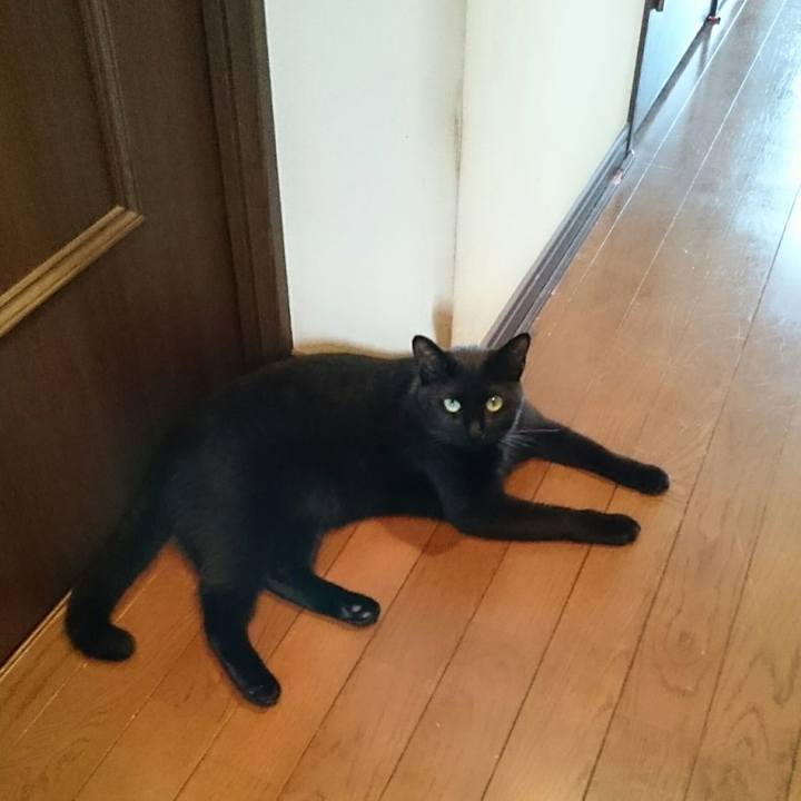 7c9d4e84 a807 4dd3 aaa2 ee4913ac6f27 1531963661689