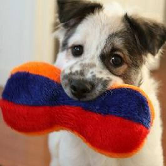 7c9d5b28 f008 4bfe 93bc 4f1a4fce7059 1595416429334