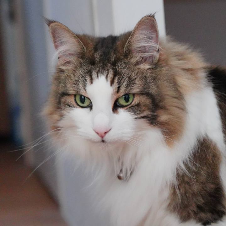 7c9d70ec 7288 408e 81b9 07fe65b13818 1685593517190