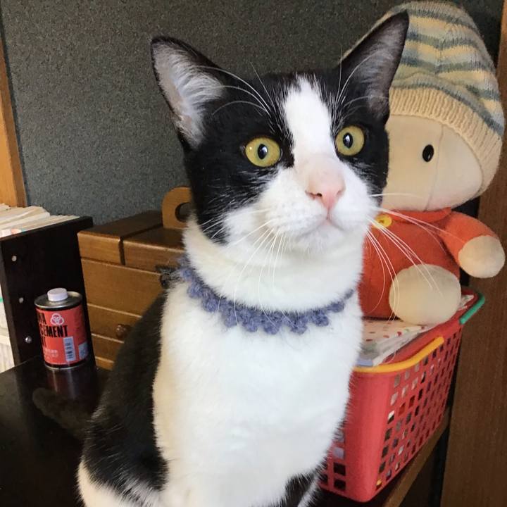 7c9d73d9 23ca 42a2 9a4a 3b788b169dc6 1640992063161