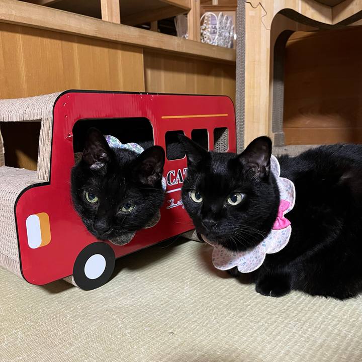 7c9d90af 68ba 4d8e aea4 027d569a80a4 1727102393347