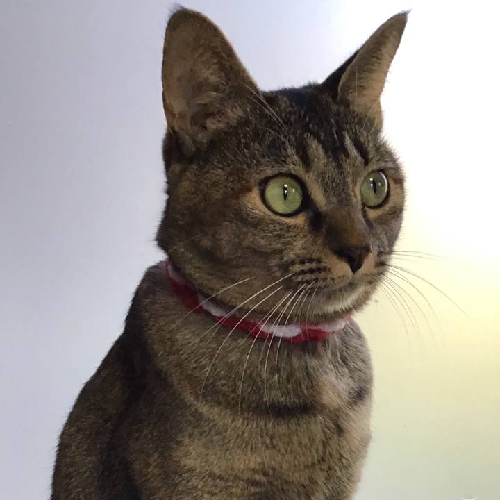 7c9da176 1e40 4d97 95b1 1b61c22c7b62 1604136641006