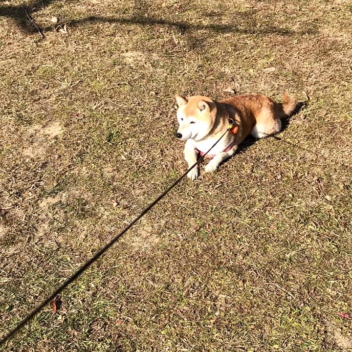 7c9da6a9 585d 42cb 8347 170e58d1a5ed 1548313535412