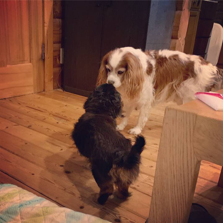 7c9dc556 88d3 433b a1f7 a9383e4bea96 1630745826424