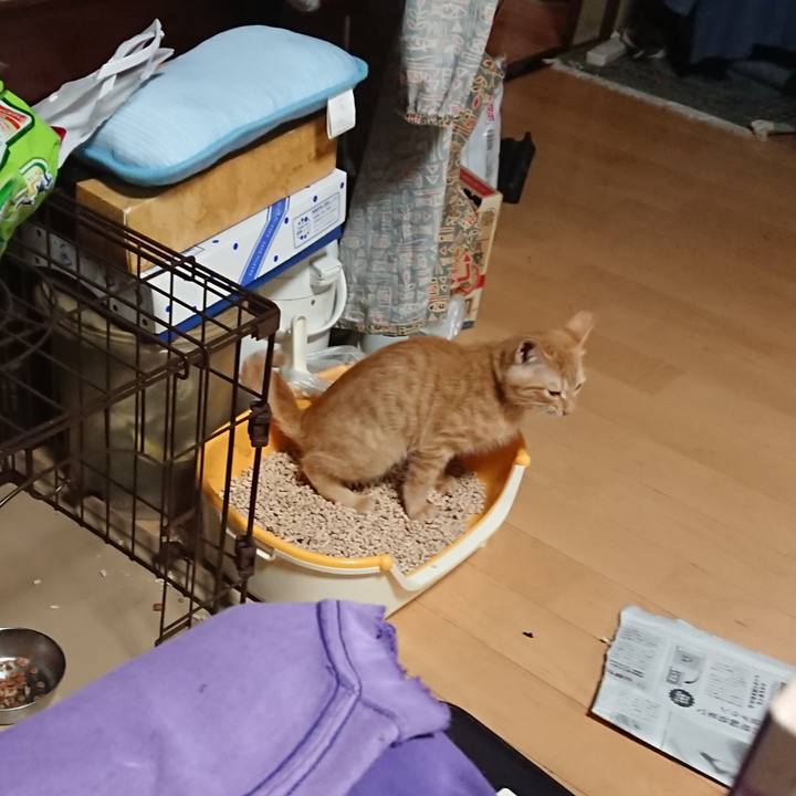 7c9dc7f1 3b22 4e4c 8310 7f3ded1c1749 1633079360530