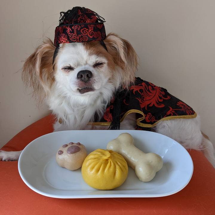 7c9ddfa8 433a 44d1 95df e6f2741a1a51 1670122984136