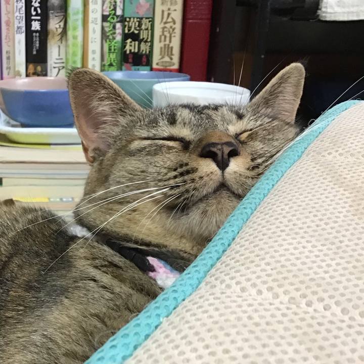 7c9e3134 8c07 48d5 8d74 b35580c1fc30 1598135223001