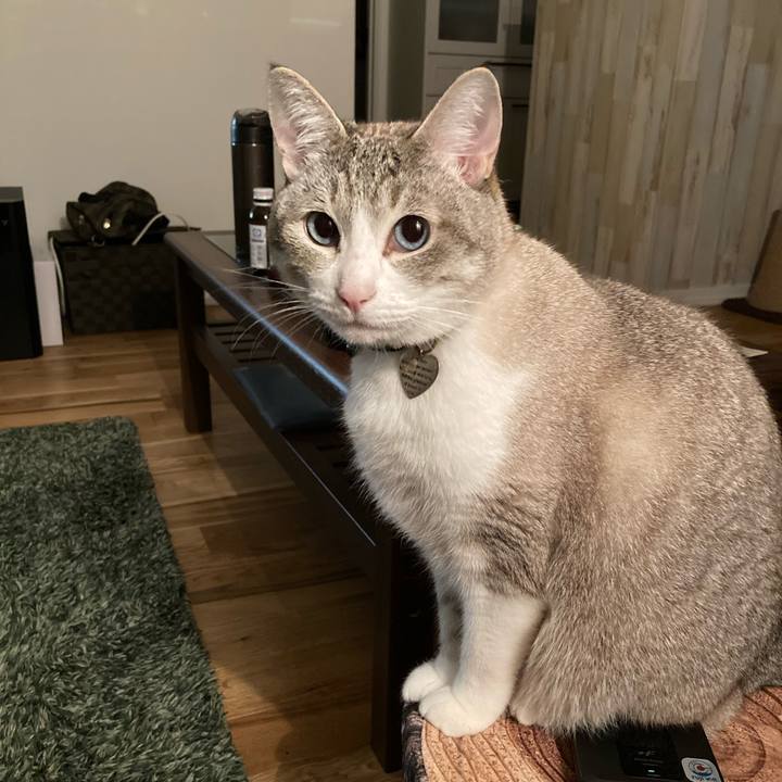 7c9e5732 b9a5 4476 b59e 8f5cd8ea8aaa 1590416472374