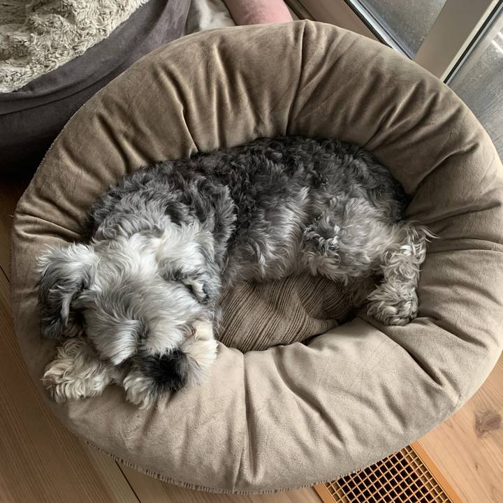 7c9e7ac6 8067 4b4c aa96 be25be322c15 1687135803949