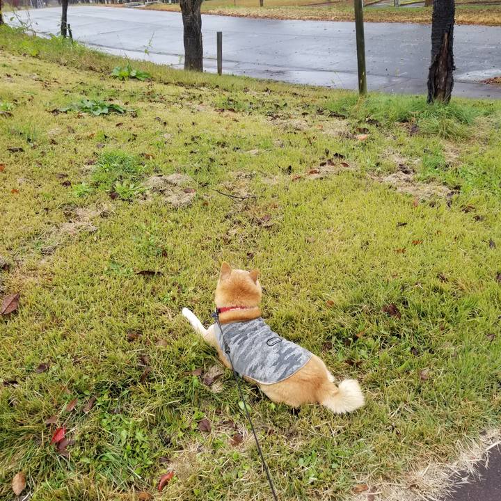 7c9e8825 10a2 459f 9982 3b8a1b2a0635 1732334320859