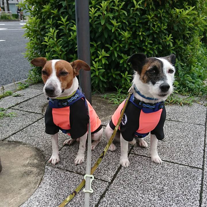 7c9ee27b 22eb 451d 994a 5917f01e38a8 1594853364204