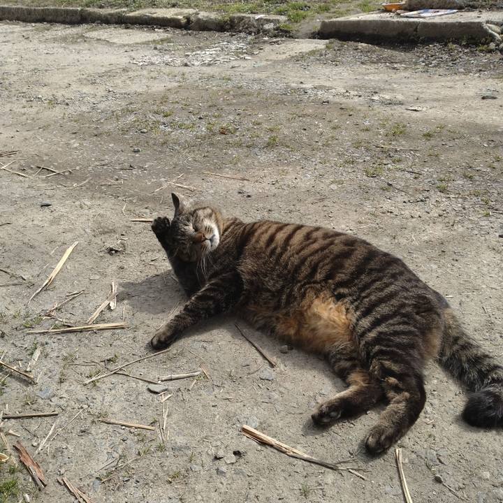 7c9ee662 d424 43a9 8e58 59eab0a58e20 1679556121139