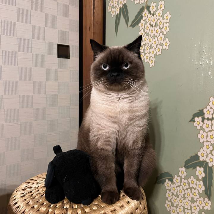 7c9efd39 1df4 40be a18d 7cb569f417aa 1636272237360