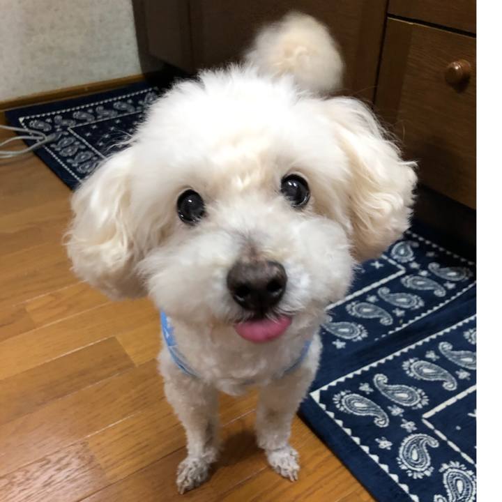 7c9f3d18 c3a4 4448 8fa9 307683c5c6a5 1555711270852