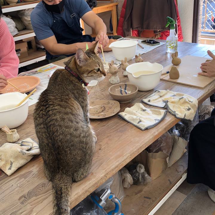 7c9f6d6c 20fc 42b0 8ae4 ce93d47f63c6 1667445383673