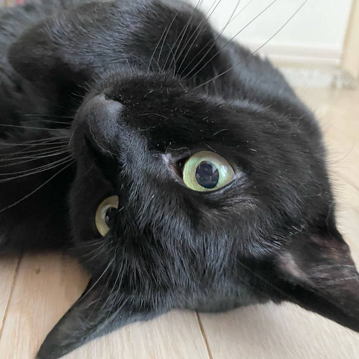 7c9f704a 6090 4237 848c 2411035fcefd 1645241694270