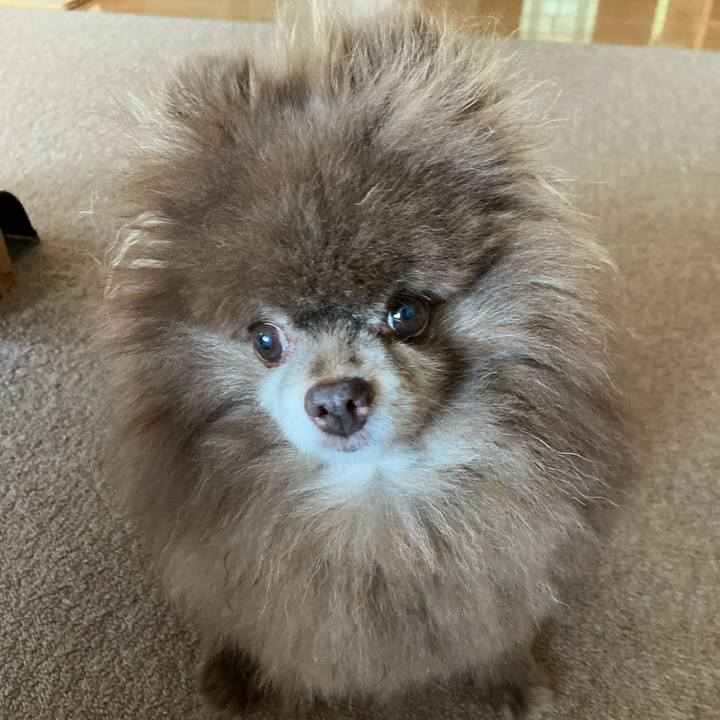 7c9f937a b6a5 450b a086 ffa948e2c84f 1721853981119