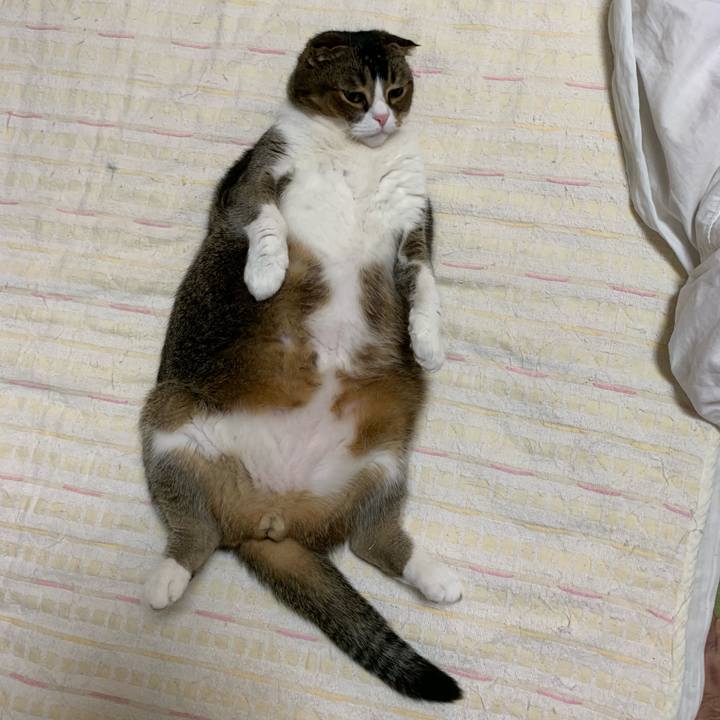 7c9fb36f f151 4c7c be92 c31a63d198ba 1560180070442