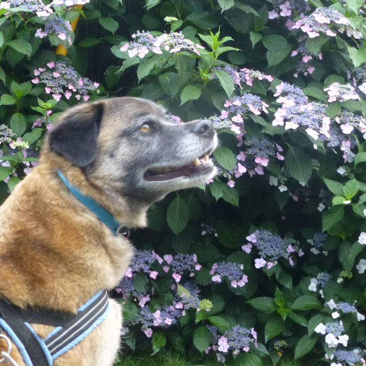 7c9fb5c2 8a0f 4592 8816 4cd08e648695 1580084982343