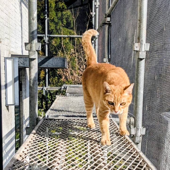 7ca012f3 2751 4d2a 8461 174effed6529 1771045808231