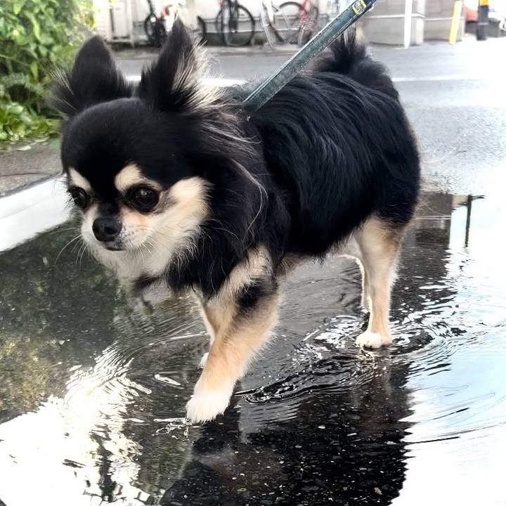 7ca02c9f e046 4d0d bba0 333b0c0c61f5 1719182143947