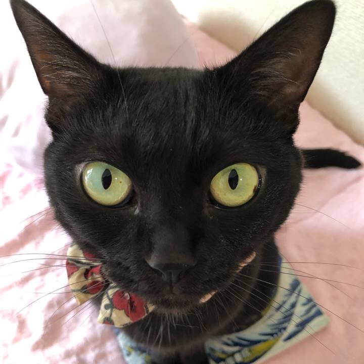 7ca04b90 fe89 4686 8612 cb97eac15119 1597374742355