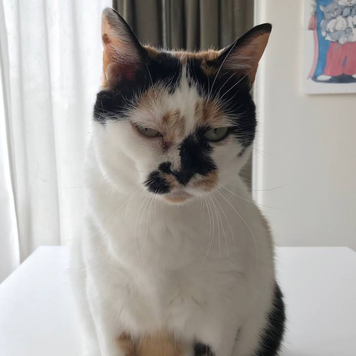 7ca0577a 620b 42bd be3c 6b99826bde68 1525225927322