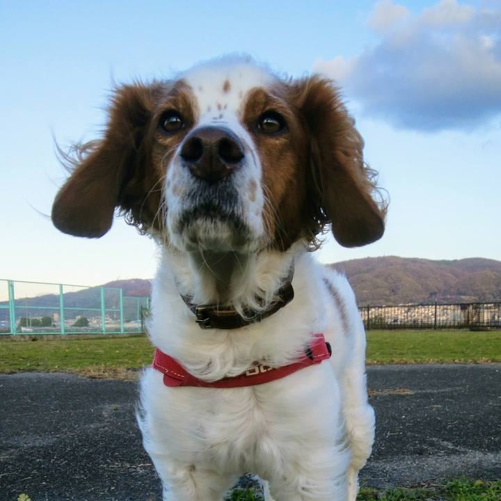 7ca0c58e 341f 42d5 a285 140bae0f5555 1544258416166