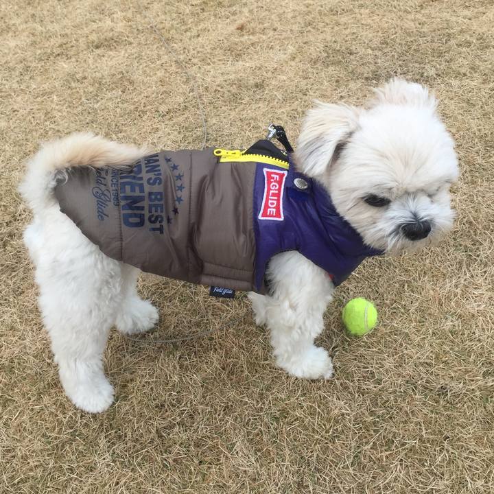 7ca11890 b05b 4de7 b62b 177a35399c04 1512735269905