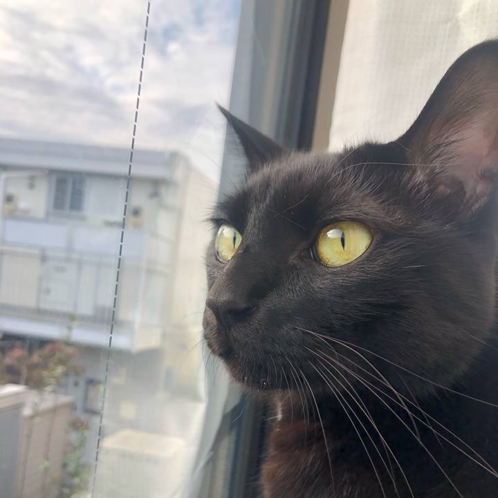 7ca123b5 3718 4576 9590 af60fdec1e16 1602975269758