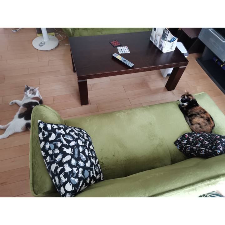 7ca13112 f441 46e7 84cc 4e2040e36032 1626688219926