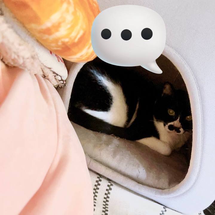 7ca13613 328c 4b85 b969 c6b4f344b1d7 1690898345593