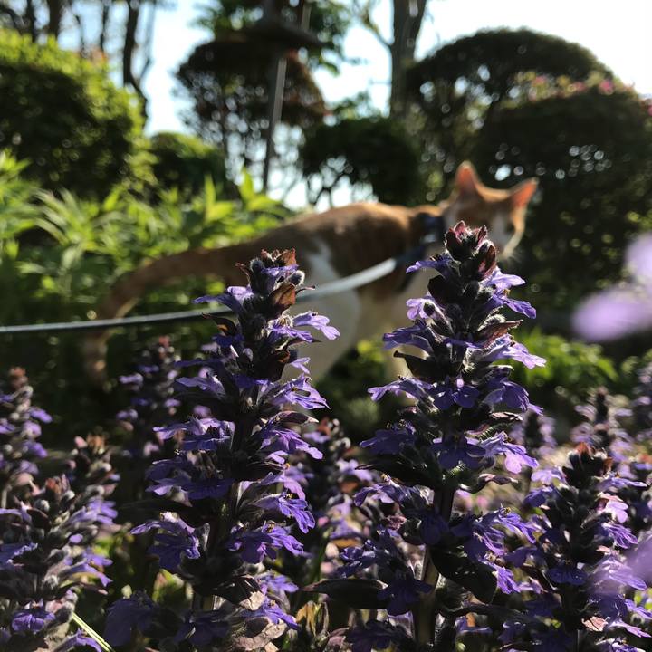 7ca13f8d 954e 4902 9ad3 4ae810eb81a9 1524899483311