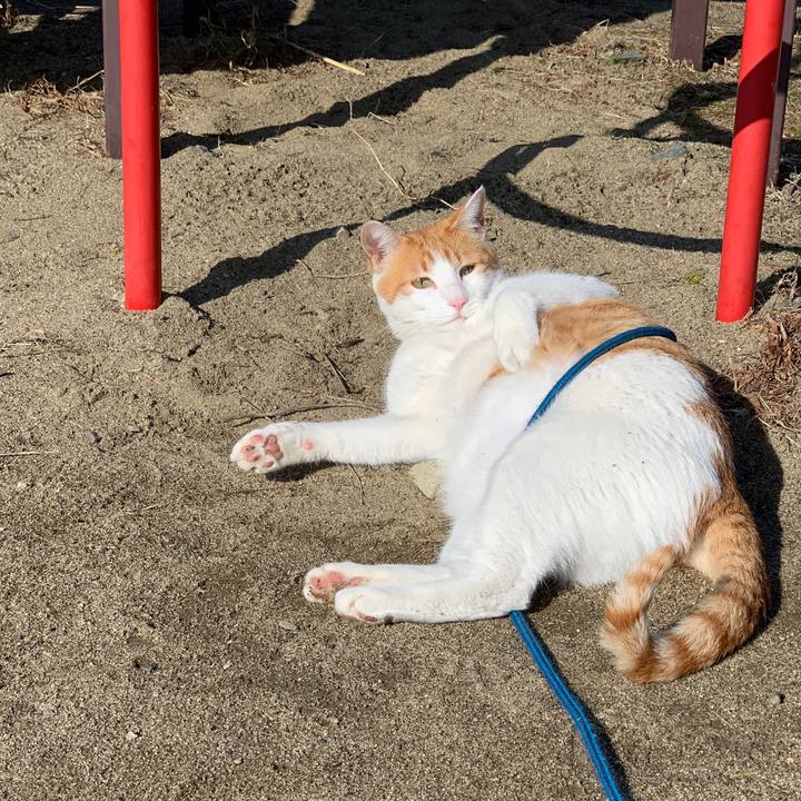 7ca1699f daa8 4182 8f71 9bd339c8861d 1582503926385