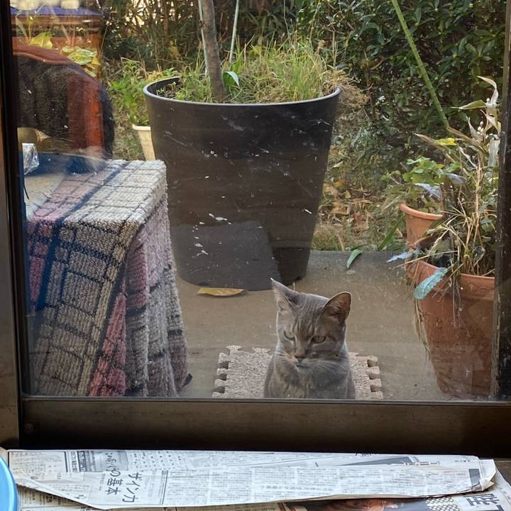 7ca18fe2 60fc 4f3b 93b7 2f3478e109a8 1577590381252