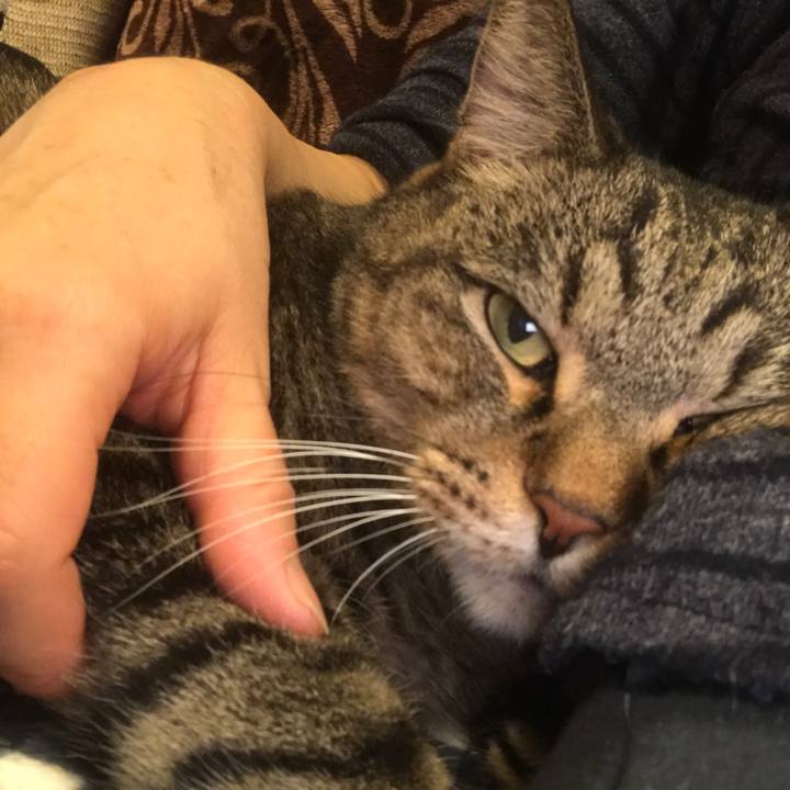 7ca1a7b6 d2dd 4454 9ec9 035d2f00489e 1509710232176