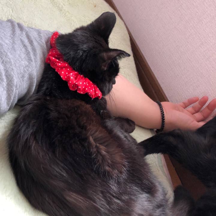 7ca1aa26 ef11 45f5 9bd2 df238485f62a 1558557760986