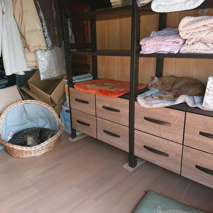 7ca1aaaa 1a1e 46c0 85da 8f74746fcf37 1662713517681