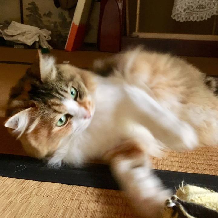 7ca1b09c 7fec 4963 bd66 5255fa7807df 1560998710199