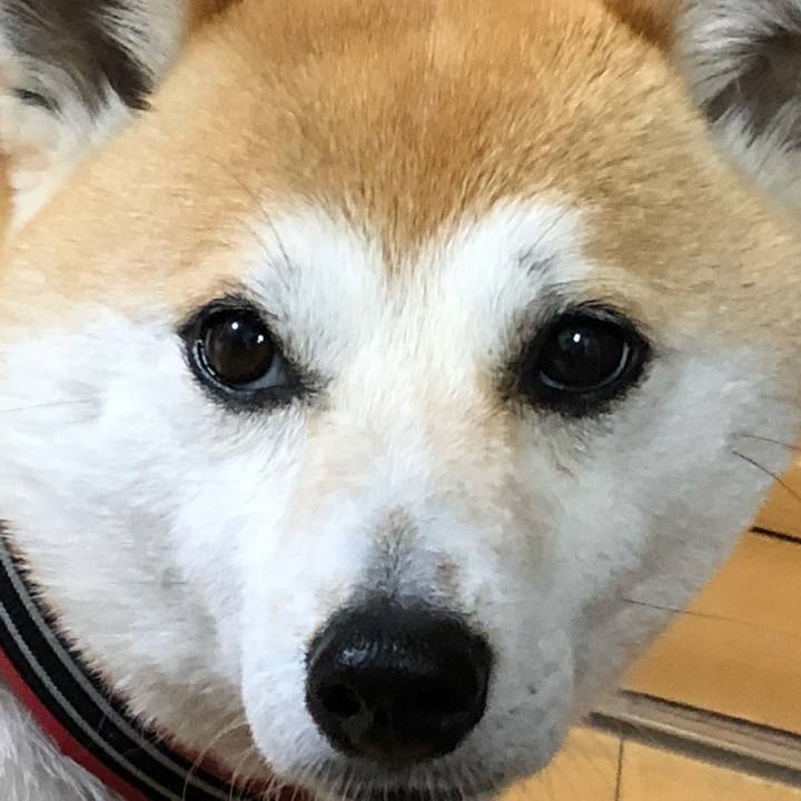 7ca1c2db 2d69 487b acbb 8e4de8e81234 1523594867434