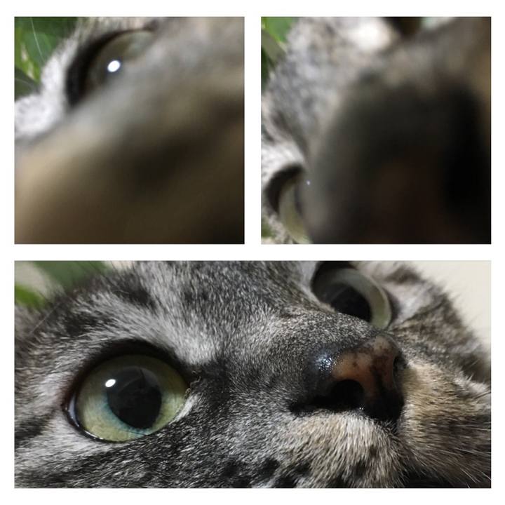 7ca1df05 7e5c 4bb2 9325 e219817d8b3d 1510990009161