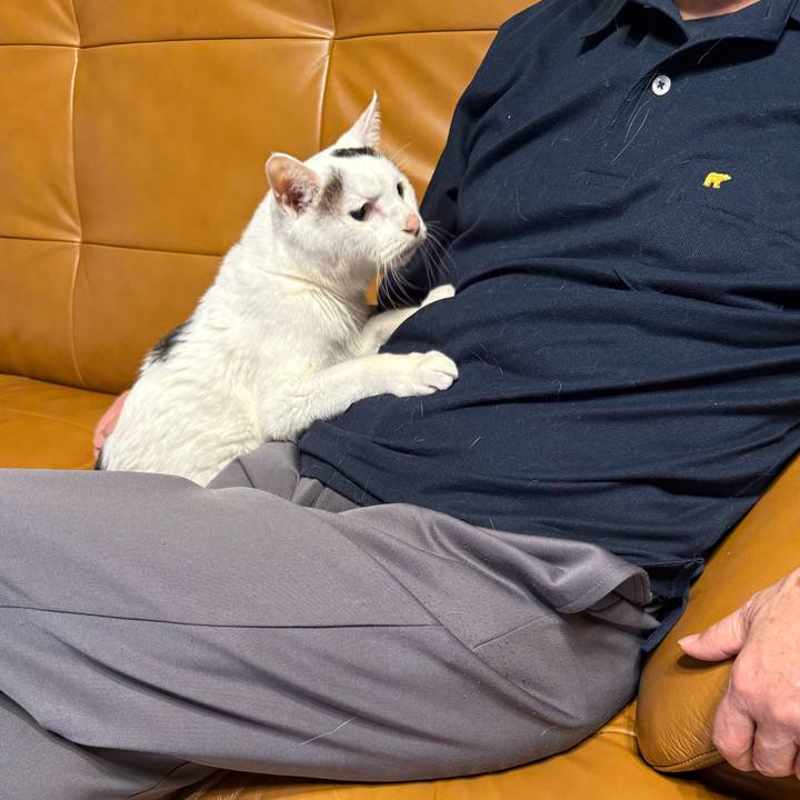 7ca1fc70 79a1 4ed1 b70b 73d3c41b6a99 1761987408872