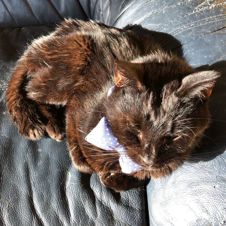 7ca21254 4041 4dbf b71b 027c9a855dda 1555882273172