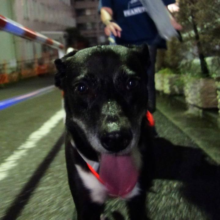 7ca213d5 b8b2 43b6 a4ac a91949417071 1727953393775