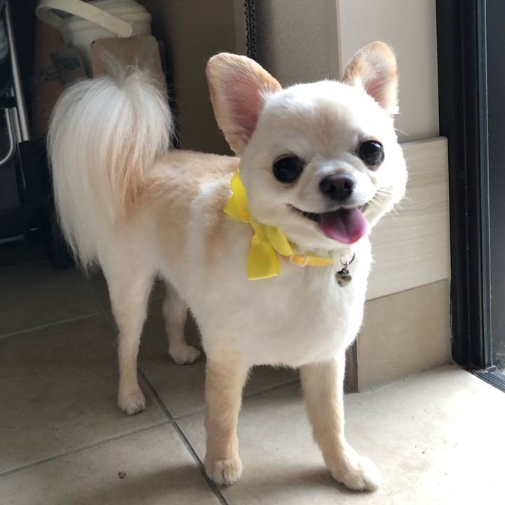 7ca22a5a b46d 4426 89f9 6c5152637e7c 1630532835724