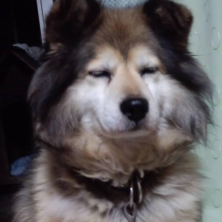 7ca23ef1 03c9 4e21 9607 fbbbc3f48722 1568617676824