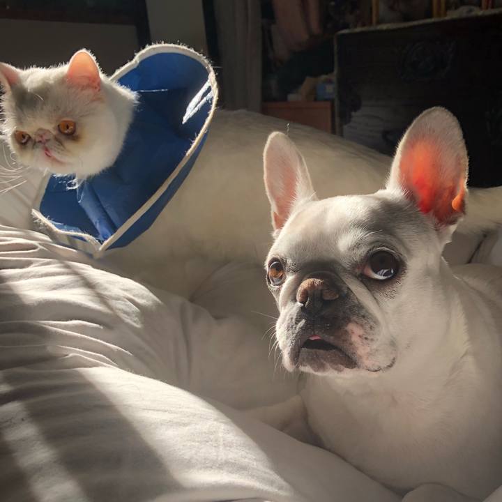 7ca24e9a 813e 4b09 8a2b 9985144f57a3 1635565645592