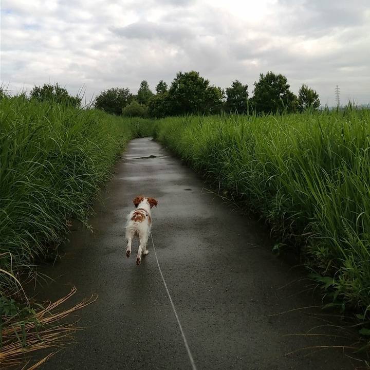 7ca293fc 48b1 4e79 86fd 675028cb023f 1624929540732