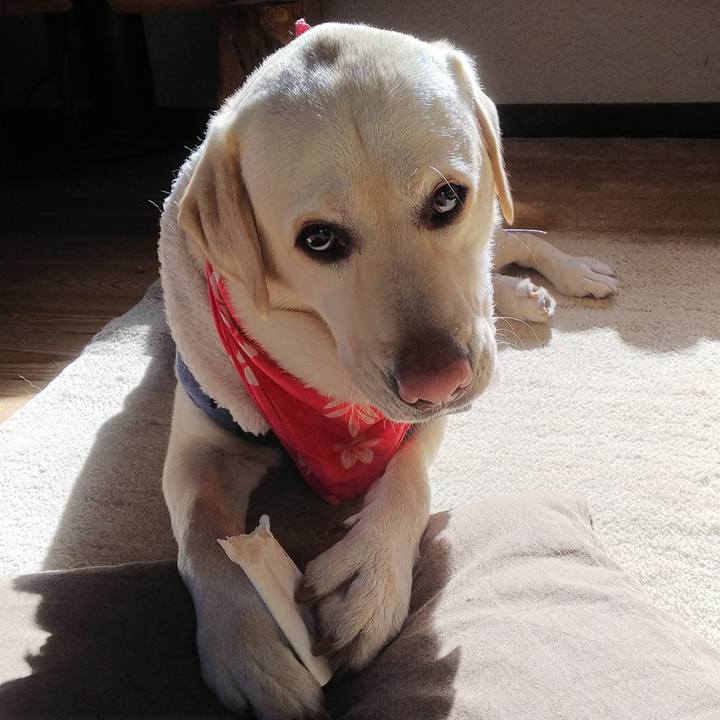 7ca29766 cd6e 4fc7 90de 20d44e852aaa 1546504496321