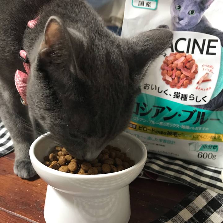 7ca2b4bd 08d5 4e69 bba5 81886a700e99 1557309238025